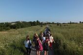 Orle gniazda_2014 - 082